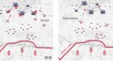 Triple stranglehold: The Russian army began to use new tactics — Telegraph